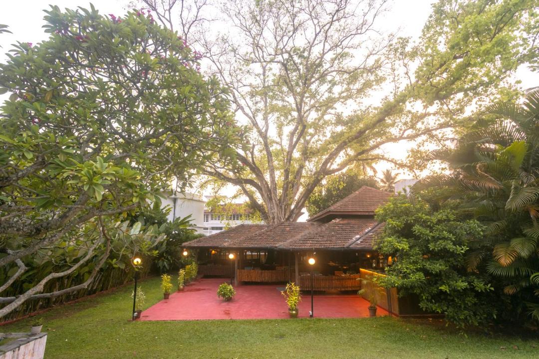 Photo of Others in Kochi