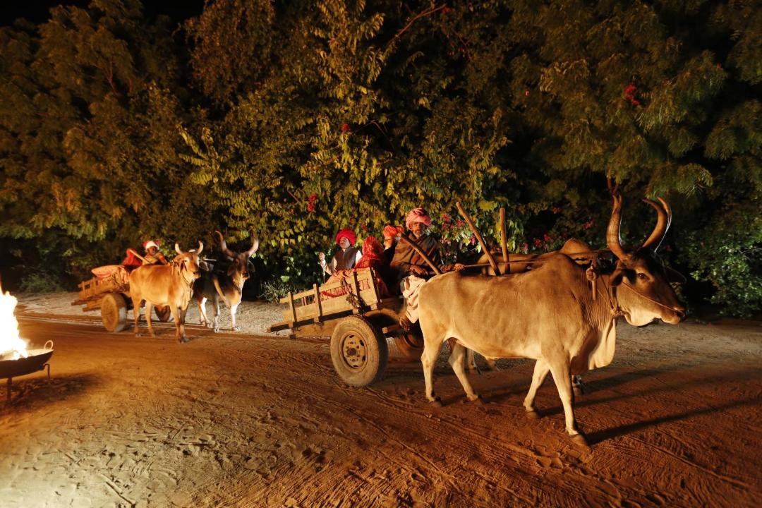 Photo of Others in Narlai