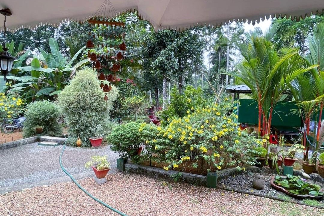 Photo of Others in Arpookara