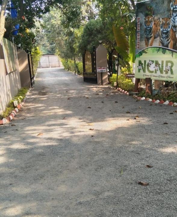 Photo of Buildings in Tala