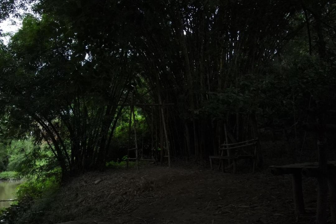 Photo of Others in Kalpetta