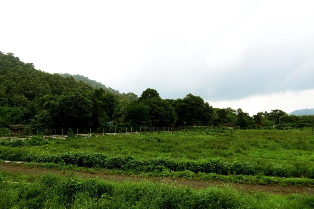 Photo of Others in Palghar