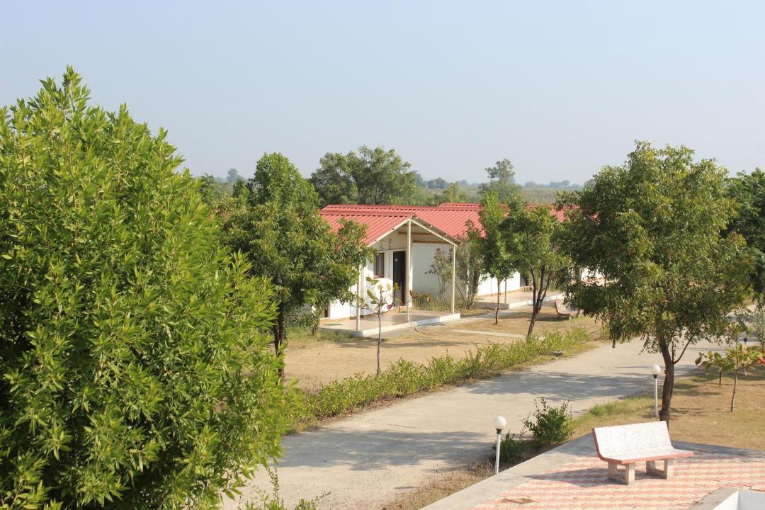 Photo of Others in Dasada