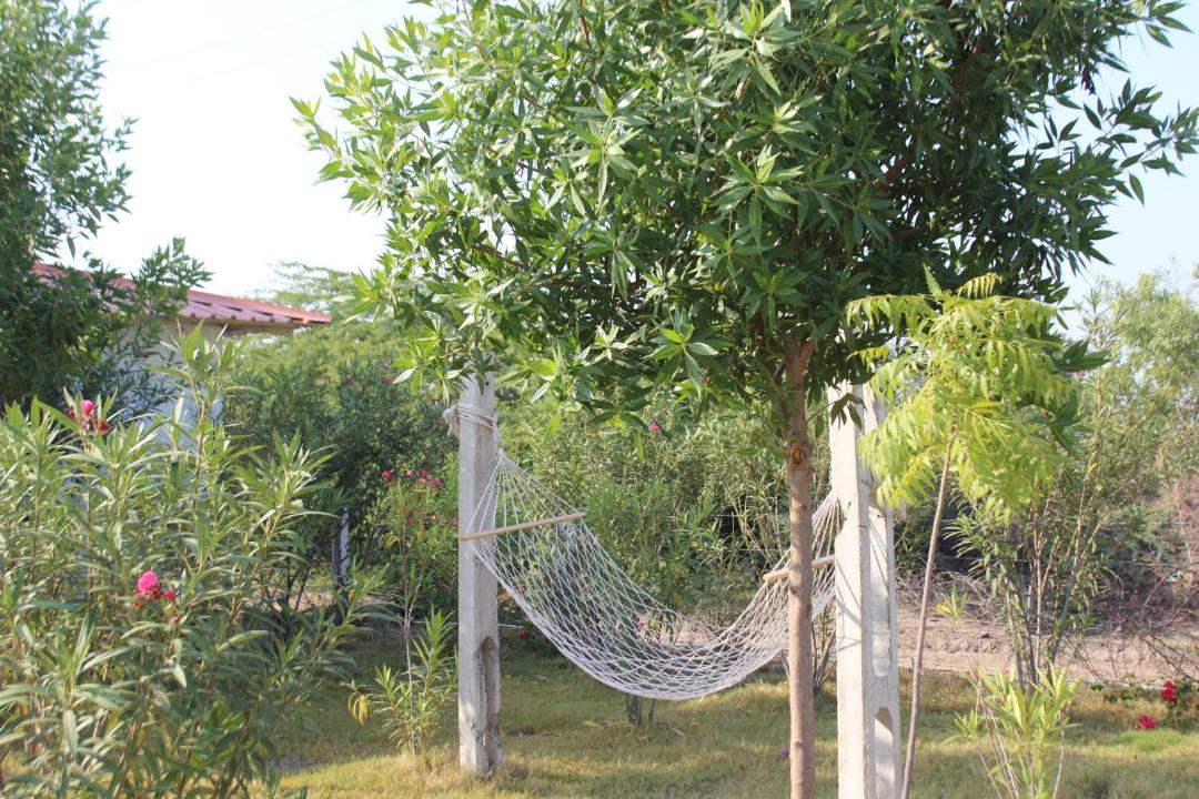 Photo of Others in Dasada