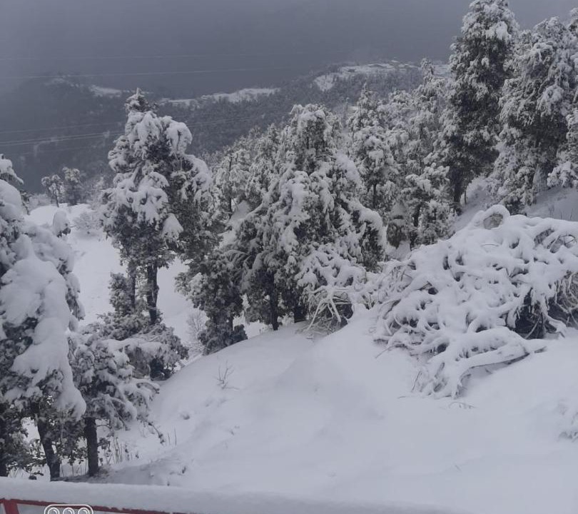 Photo of Others in Kanatal