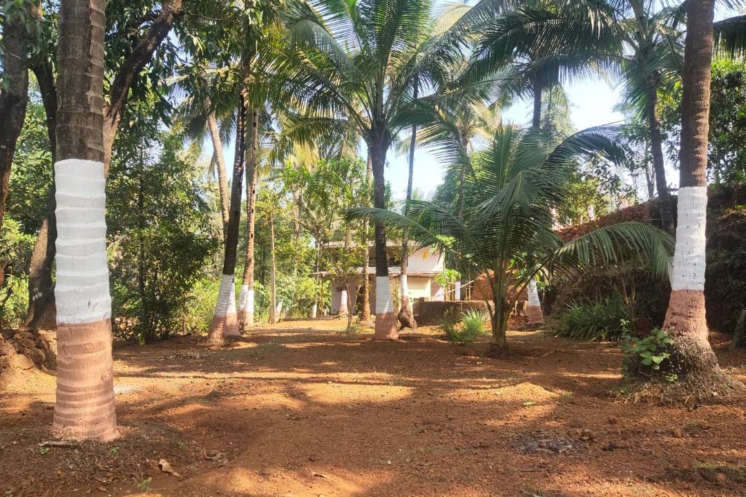 Photo of Others in Anjanvel