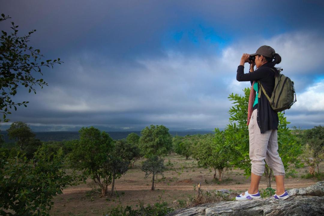 Photo of Others in Bandipur
