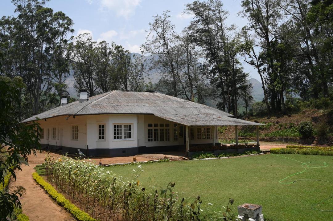 Photo of Others in Munnar