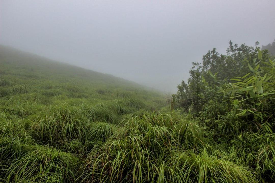 Photo of Others in Talipparamba