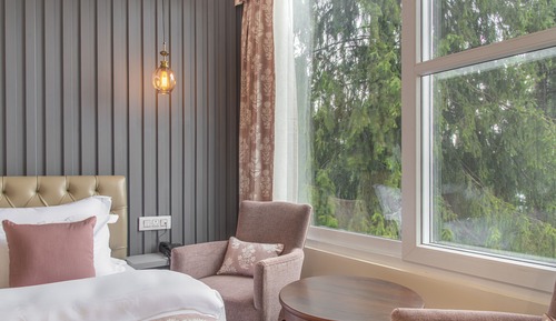 Deluxe Room, Mountain View