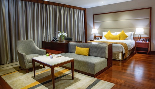 Premium Room, 1 King Bed, Smoking