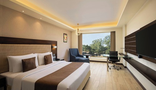 Room, 1 King Bed, City View