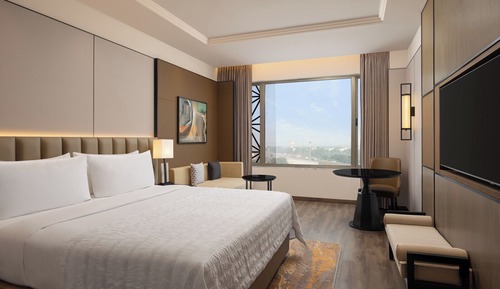 Premier Room, 1 King Bed (view)