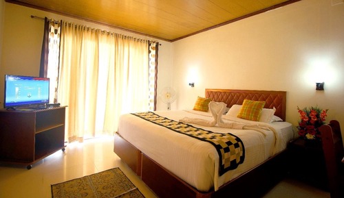 Room, 1 King Bed, Mountain View