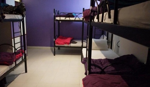 Comfort Shared Dormitory, Mixed Dorm