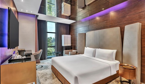 Business Room (Business Class)