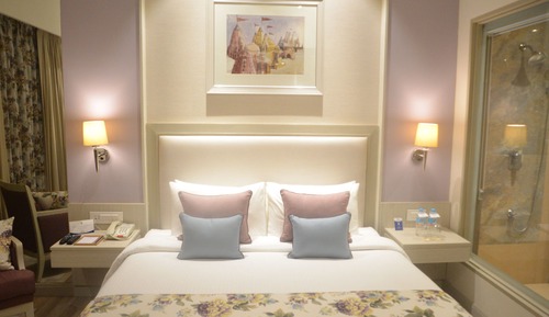 Premium Room, 1 Double Bed