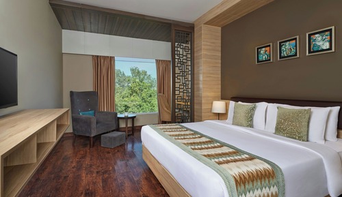 Room, 1 Queen Bed (no view)
