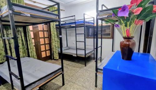 Single Bed in 10-Bed Dormitory Room