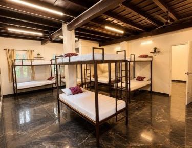 Mixed Dormitory Room