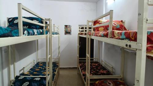 Mixed Dormitory Room
