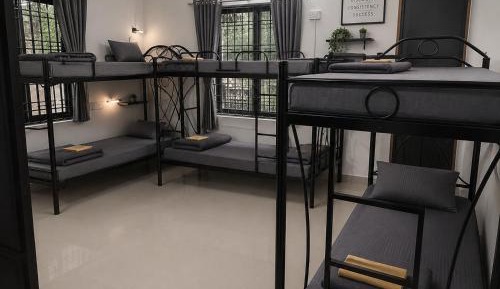 Bed in 6-Bed Dormitory Room
