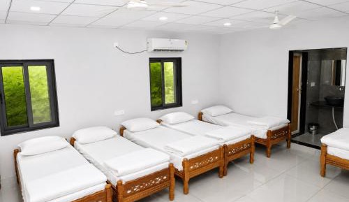 10-Bed Mixed Dormitory Room