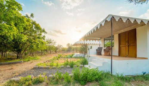 King Room with Garden View