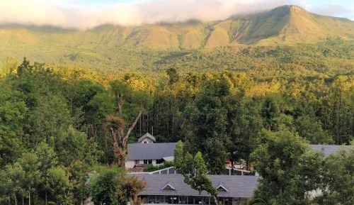 Studio with Mountain View