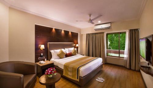 Large Double Room