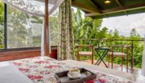 Tree House with Wine tour & Tasting experience at Sula Vineyards, 10% discount on spa & Complimentary welcome drinks on arrival, Happy Hours (1+1) from 4 to 7 pm