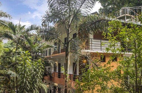 Pallivasal Hotel | Spice Jungle Resort