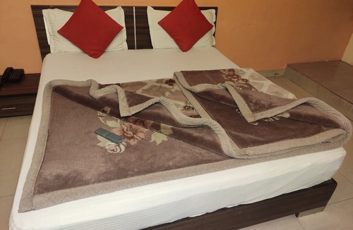Paharganj Hotel | Hotel Trio Tourist