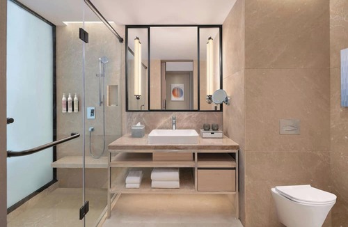Satellite Hotel | Le Méridien Ahmedabad