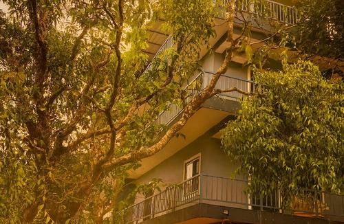 Arambol Hotel | Arambol Bliss Hote Apartments