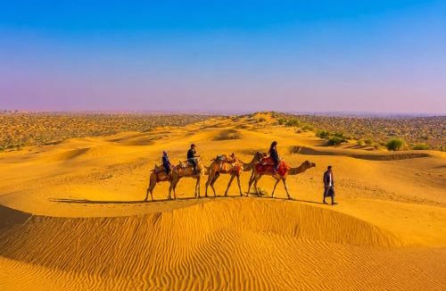 Sam Resort | Velora Family Luxury camp Jaisalmer