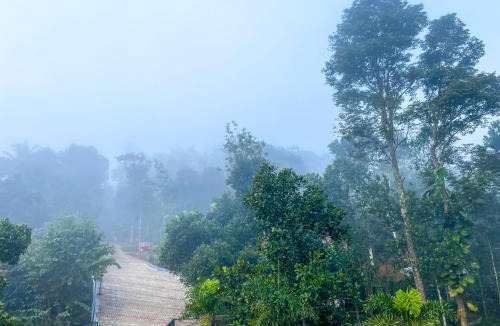 Pirmed Hotel | Snow Hills Nature Resort, Thekkady