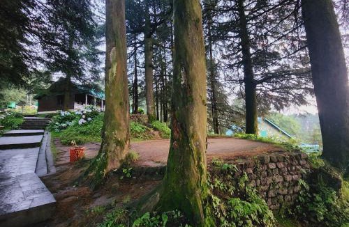 Dalhousie Hotel | The Smarthill Sanctuary
