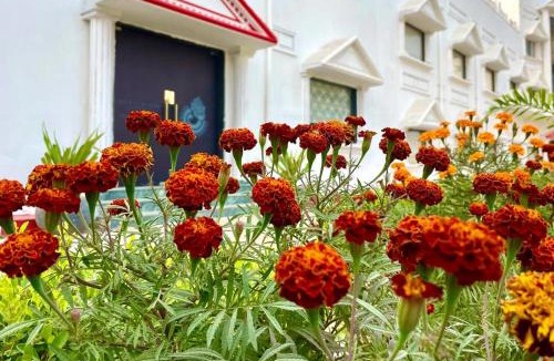 Behror Hotel | Shakti Resort Behror A-Unit Of MLS RESORTS Pvt Ltd