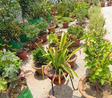 Patna House | Nilayam hosted homestay