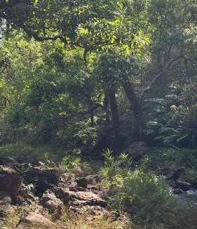 Pachmarhi Hotel | Oberoi residency