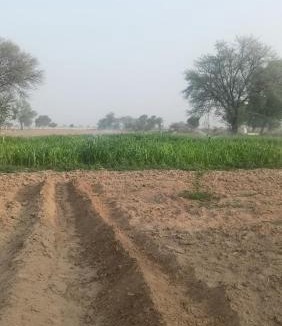Kishangarh Bas House | Joon Farm