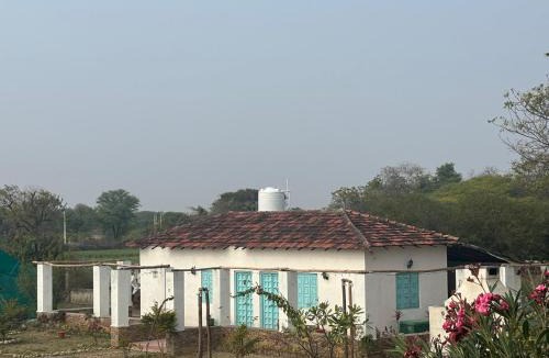 Vallabhnagar House | Skate House at Desert Dolphin Skatepark