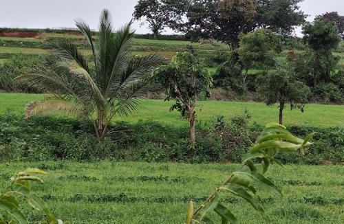 Doddaballapur House | Peacock Abode Farm
