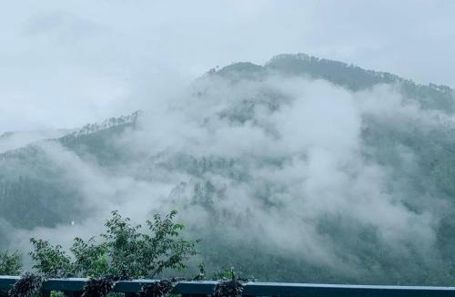 Ramgarh Apartment | Tatsaaraa Kavan