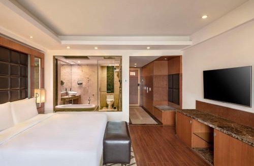 South West Hotel | Radisson Blu Plaza Delhi Airport