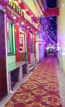 Hotel Ganga Palace