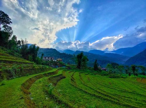 Drukinn gaireykhet homestay