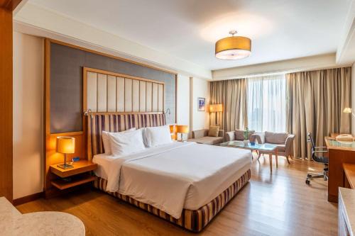 Radisson Blu Hotel, Indore